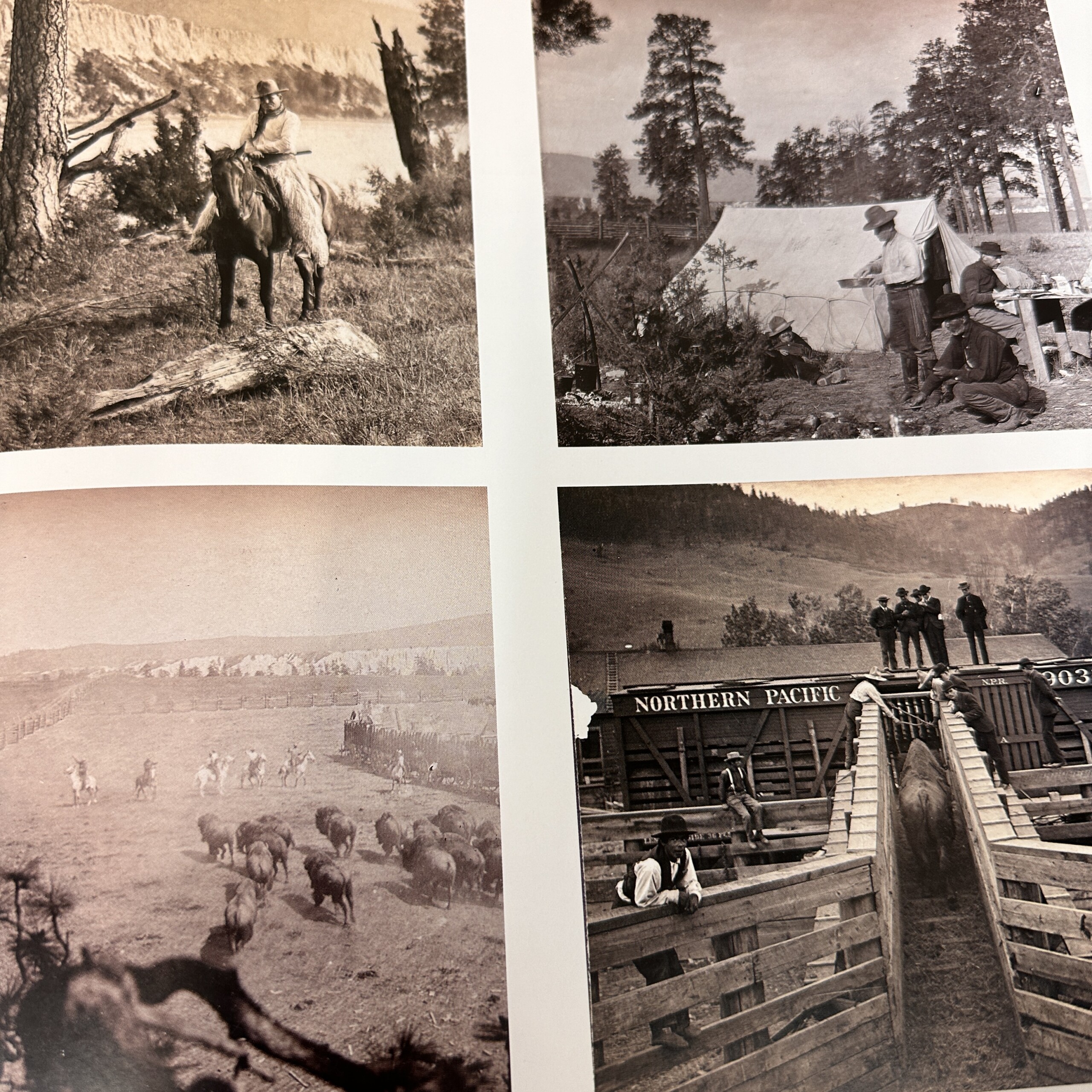 Your Friend, C.M. Russell Illustrated Letters C.M. Russell Museum