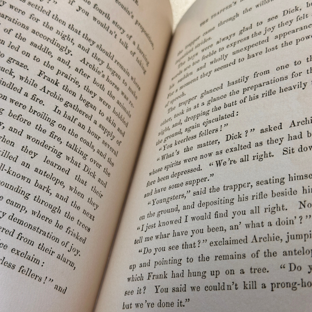 Frank on the Prairie - Image 2