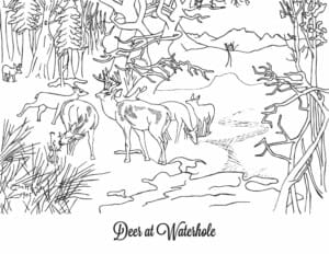 Charlie Russell's Coloring Book Pages