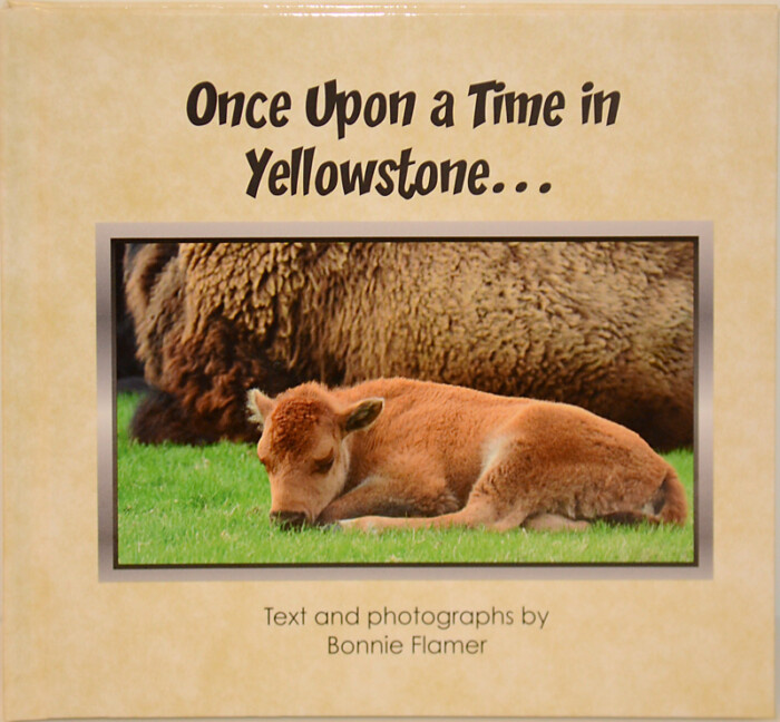 Once Upon a Time in Yellowstone