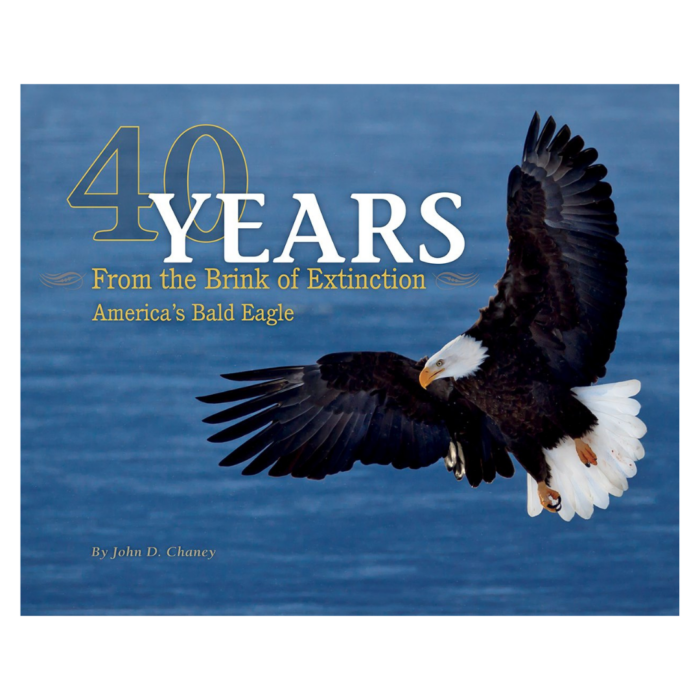 40 Years from the Brink of Extinction: America's Bald Eagle