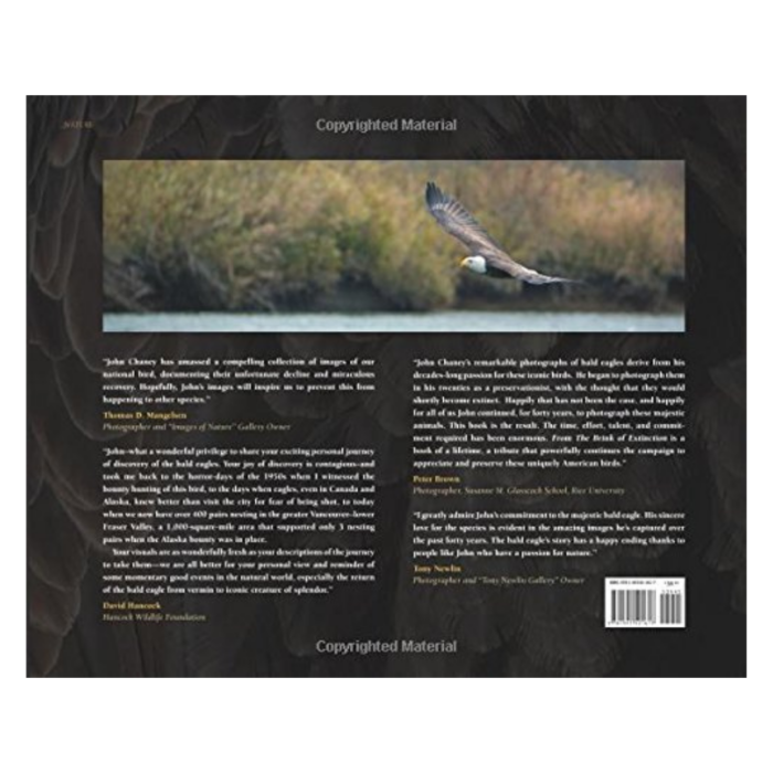 40 Years from the Brink of Extinction: America's Bald Eagle - Image 2