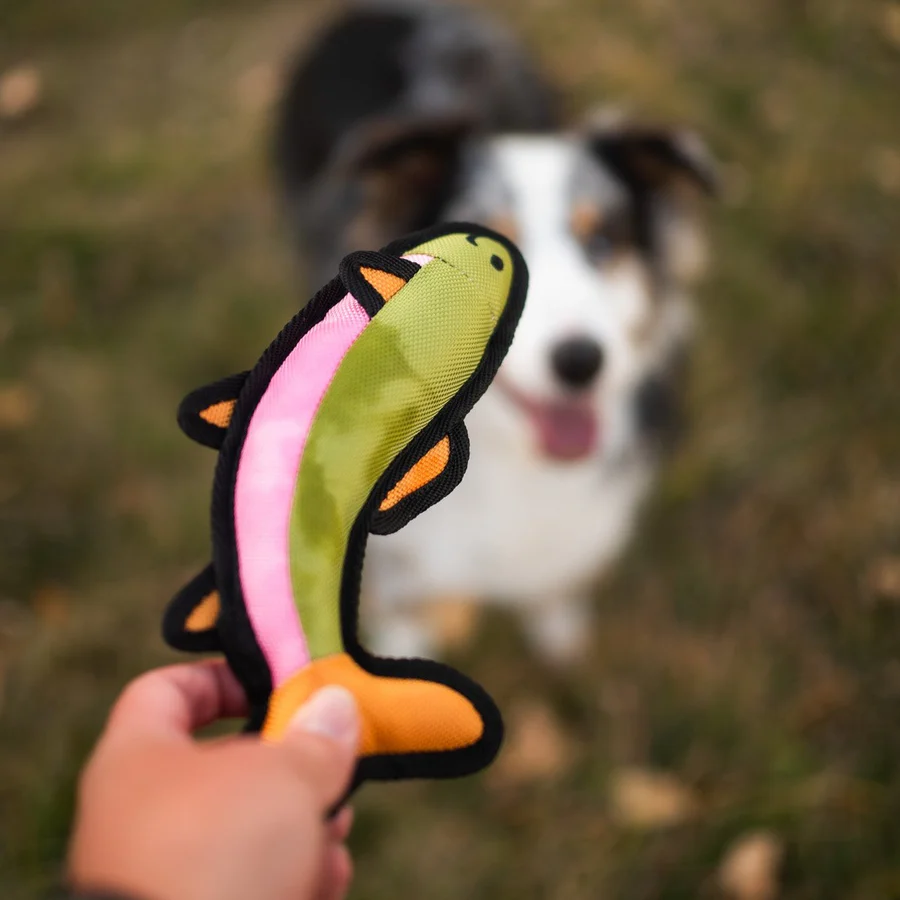 Montana Trout Dog Toy - Image 2