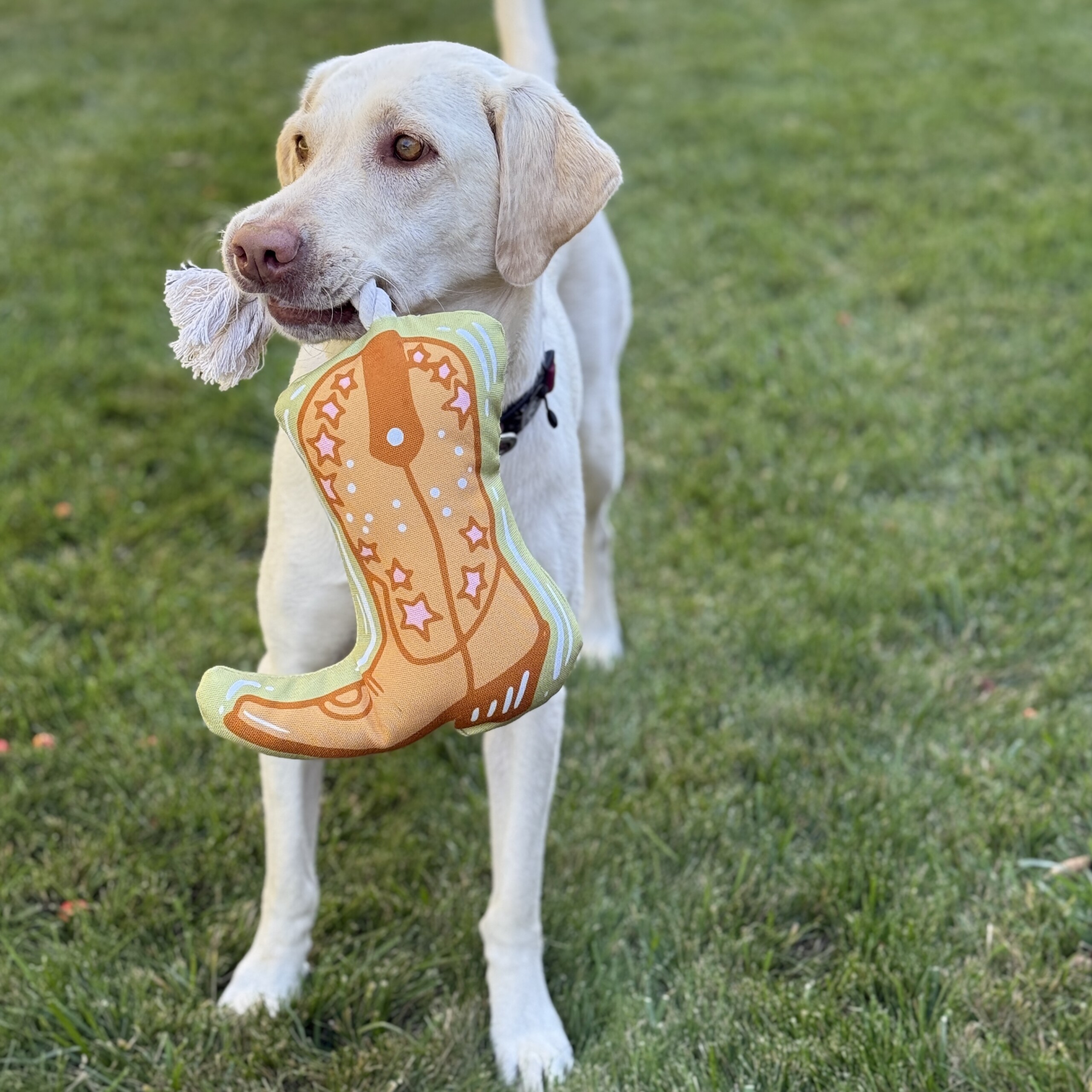 Cowboy Boot Dog Toy - Image 2
