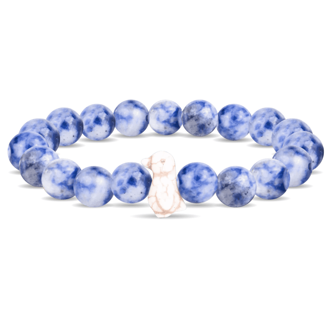 FAHLO Penguin (Igloo Blue) Tracking Bracelet